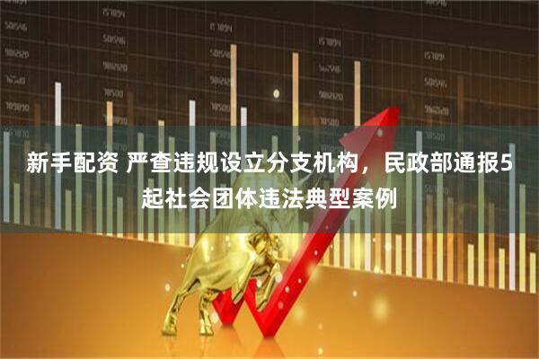新手配资 严查违规设立分支机构,民政部通报5起社会团体违法典型案例